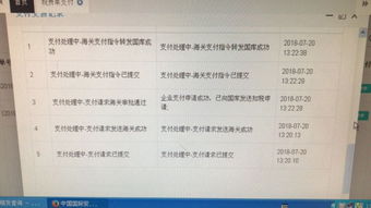 新一代稅費電子支付系統(tǒng) 常見問題與解決方案匯總